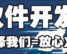 软件开发