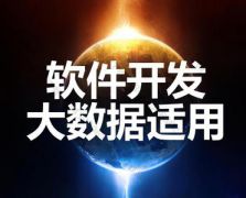 软件开发大数据适用