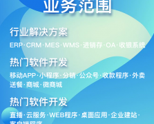 软件开发范围